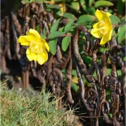 ESSCHERT DESIGN Perkhek Victoriaanse Stijl 28,5 × 31 Cm -winkel in tuinmeubelen antiek perkhekje 285 x 31 cm 1492169946 1 600