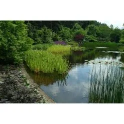 Ecoo Tuin- Of Vijverafboording Ecolat 14 Cm - 10 M Grijs 11 Ecoo Tuin- Of Vijverafboording Ecolat 14 Cm - 10 M Grijs -winkel in tuinmeubelen ecolat 10 m 1484063064 4 600