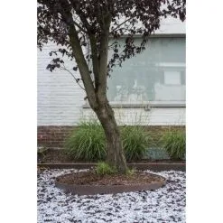 Ecoo Tuin- Of Vijverafboording Ecolat 14 Cm × 25 M - Bruin 11 Ecoo Tuin- Of Vijverafboording Ecolat 14 Cm × 25 M - Bruin -winkel in tuinmeubelen ecolat tuinafboording bruin 14 cm x 25 m 1493024718 2 600