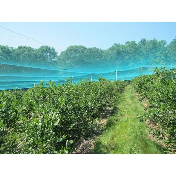 Vijvernet - Groen Vogelnet Met Pluggen 4 M × 5 M 3 Vijvernet - Groen Vogelnet Met Pluggen 4 M × 5 M