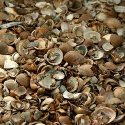 Noordzeeschelpen Gewassen In Big Bag Ca 0,7 M³