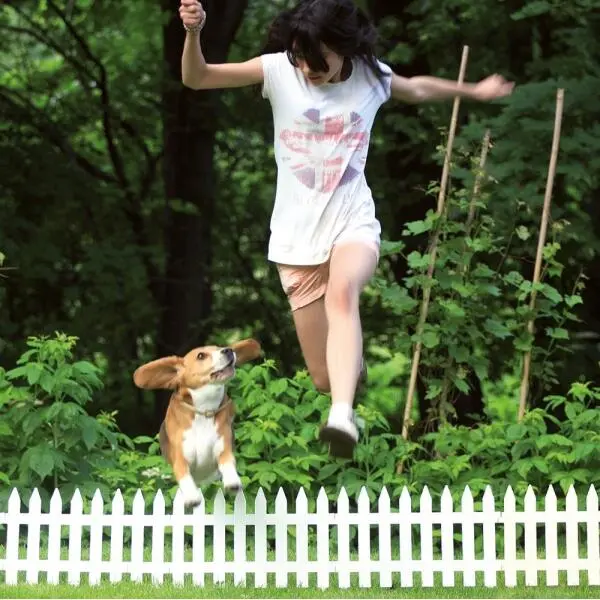 Perkhekjes Wit - 350 Cm 3 Perkhekjes Wit - 350 Cm