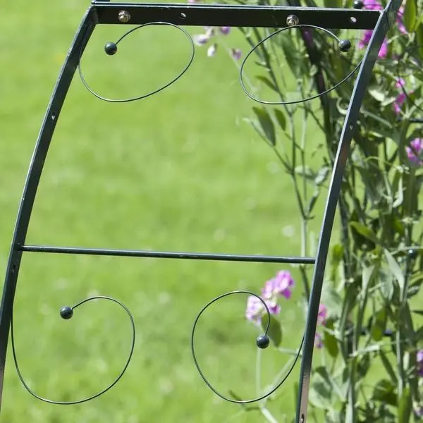 Rozenboog Massief Met Klimhulp 150 × 40 × 230 Cm - Afbeelding 6