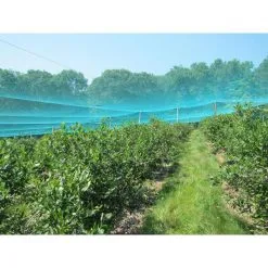 Vijvernet - Vogelnet Met Pluggen 4 M × 10 M