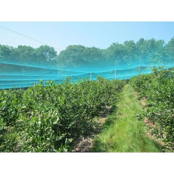 Vijvernet - Vogelnet Met Pluggen 4 M × 10 M 3 Vijvernet - Vogelnet Met Pluggen 4 M × 10 M